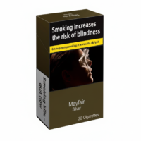 1774904685911-mayfair-silver-20-cigarettes.png